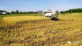 土壤一旦有这几大症状就是生病了 教你8招轻松改良变沃土