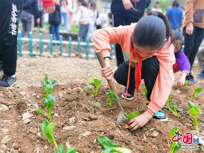 衢州“双减”进行时:杨林小学“3+”模式 探索小班“双减”之路