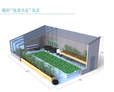 设计建造一个小型的“鱼菜共生”温室农场